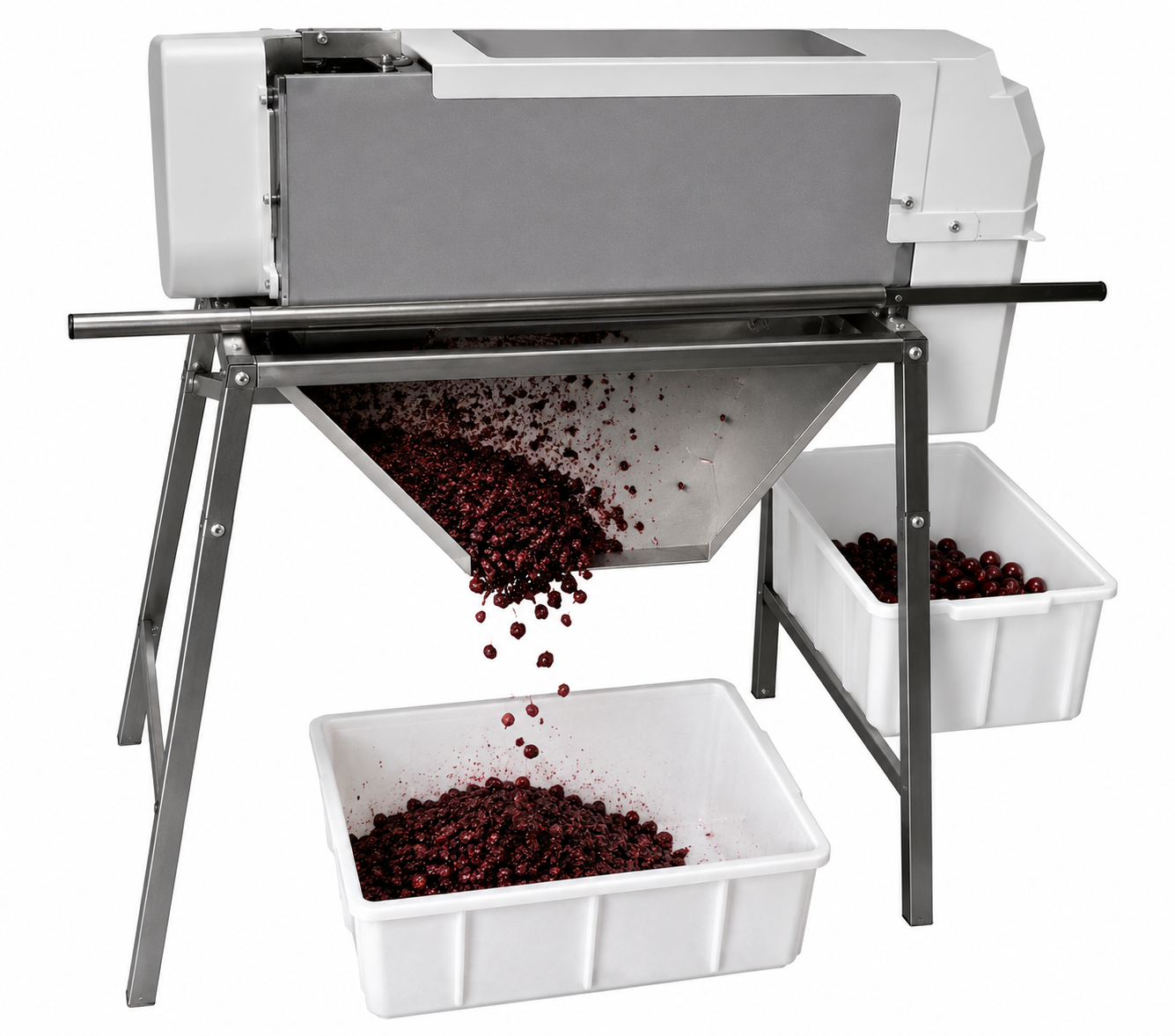 CHERRY – Fruit Destoner – Zambelli Enotech - 7