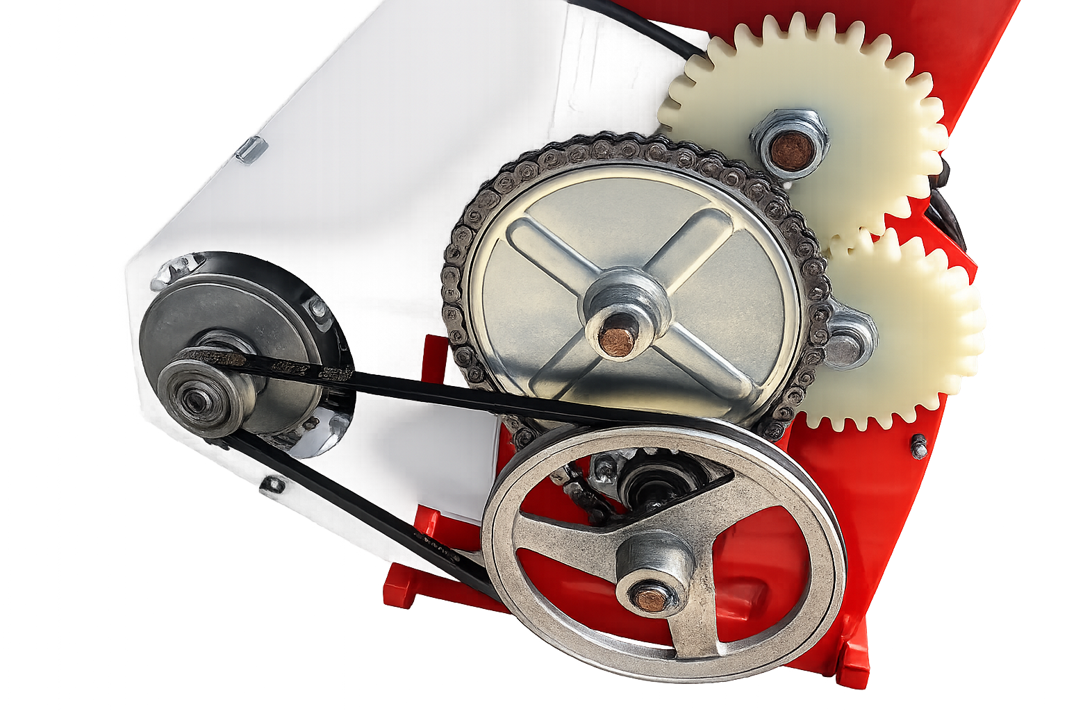 Model 191 - Dezciorchinator cu Zdrobitor și Motor, Vopsit în Câmp Electrostatic - Flli Baesso - 3